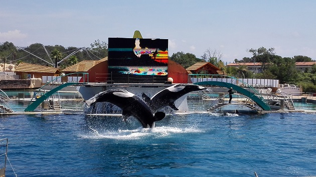 Marineland